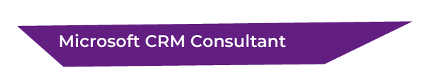 Microsoft CRM Consultant-01